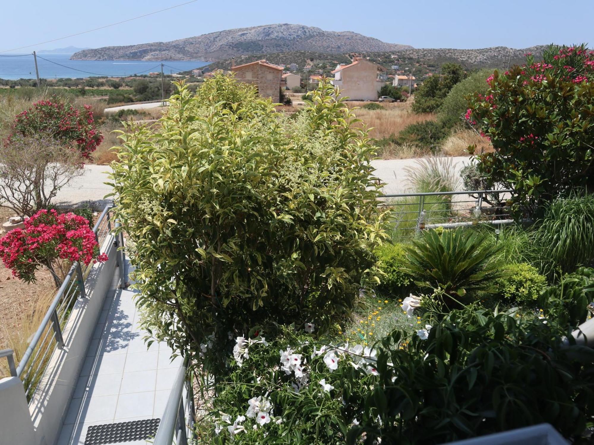 Patroclos Seaview Sounion Ngoại thất bức ảnh